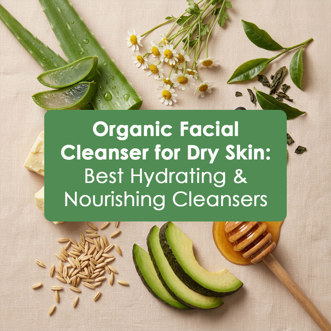 Organic Facial Cleanser for Dry Skin: Best Hydrating & Nourishing Cleansers
