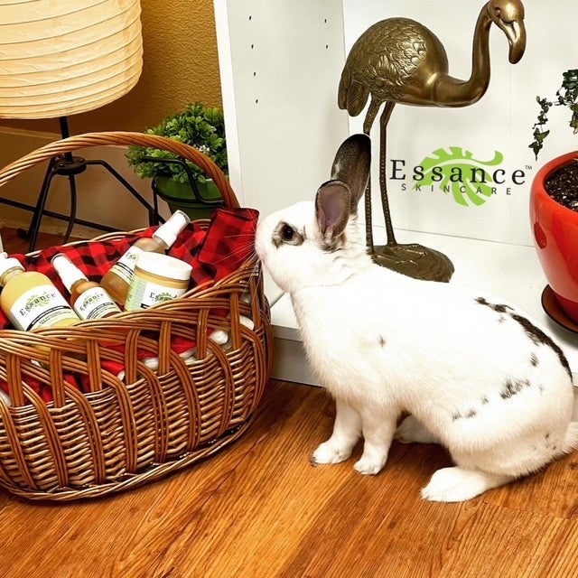 No Bunnies or Dragons were harmed in the making of these products! Vegan Beauty Award and why Vegan matters :)!