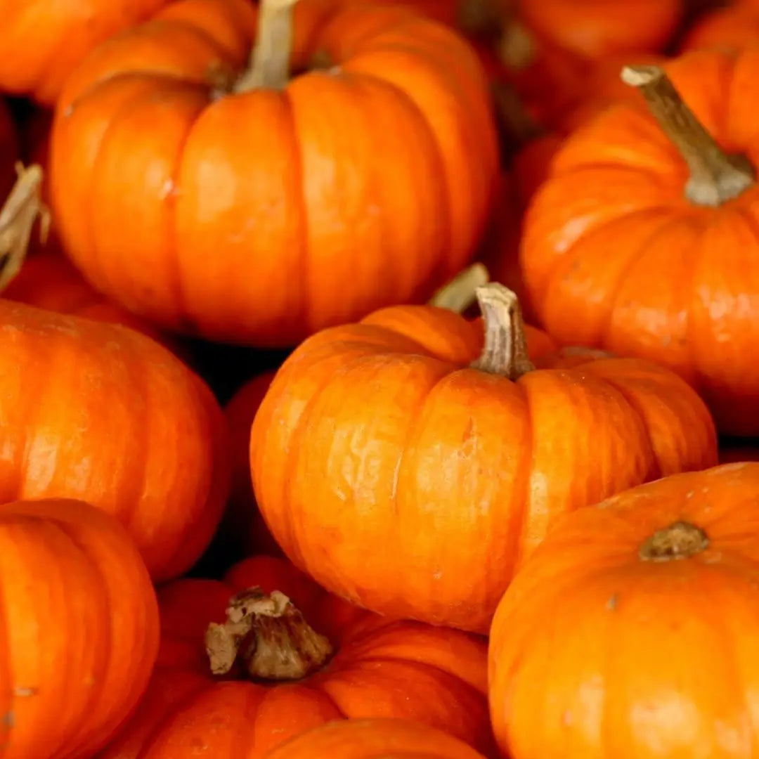 Embrace the Autumn Glow with Essance Beet or Pumpkin Clay Masques