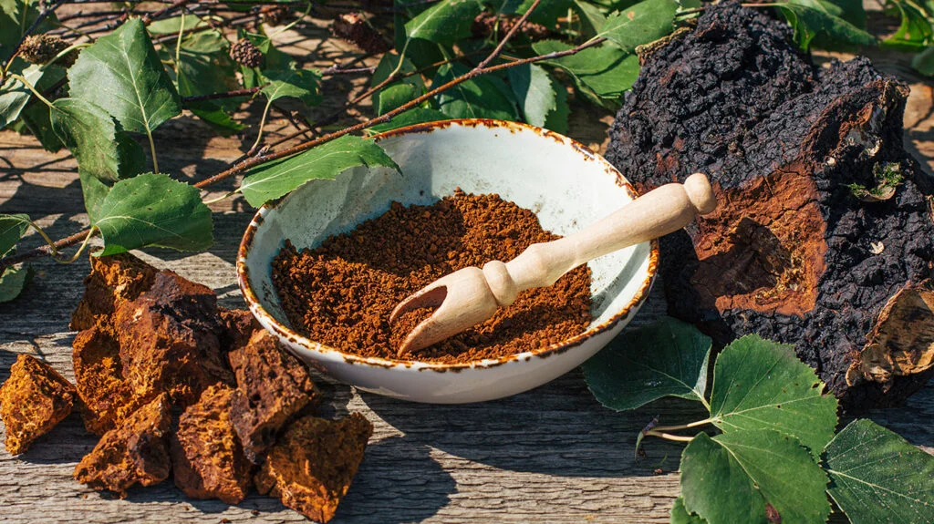 Chaga Mushroom - A Natural Secret to Timeless Beauty